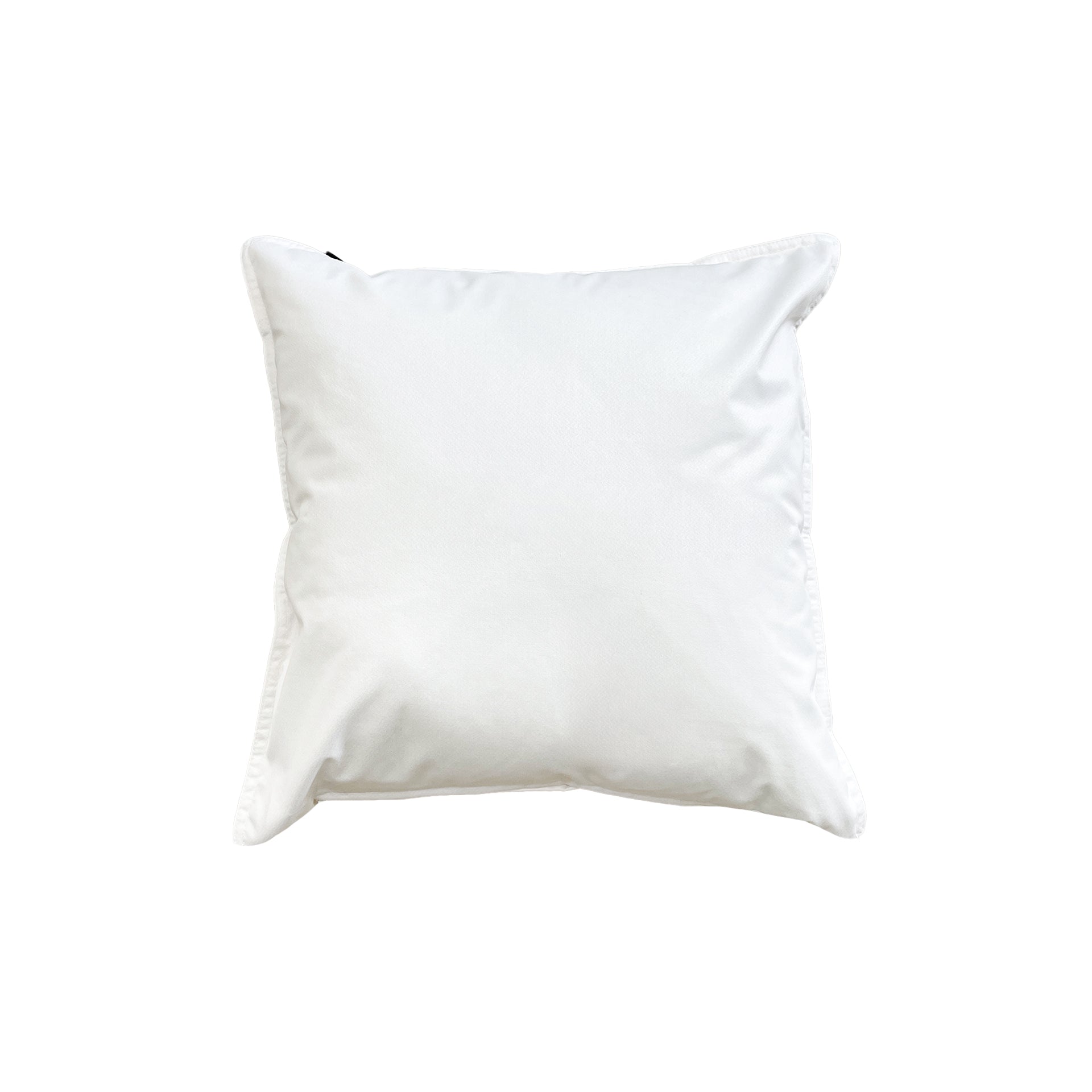 Pillowcase Chieira VR 